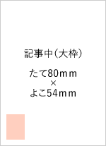 広告サイズ 記事中大枠